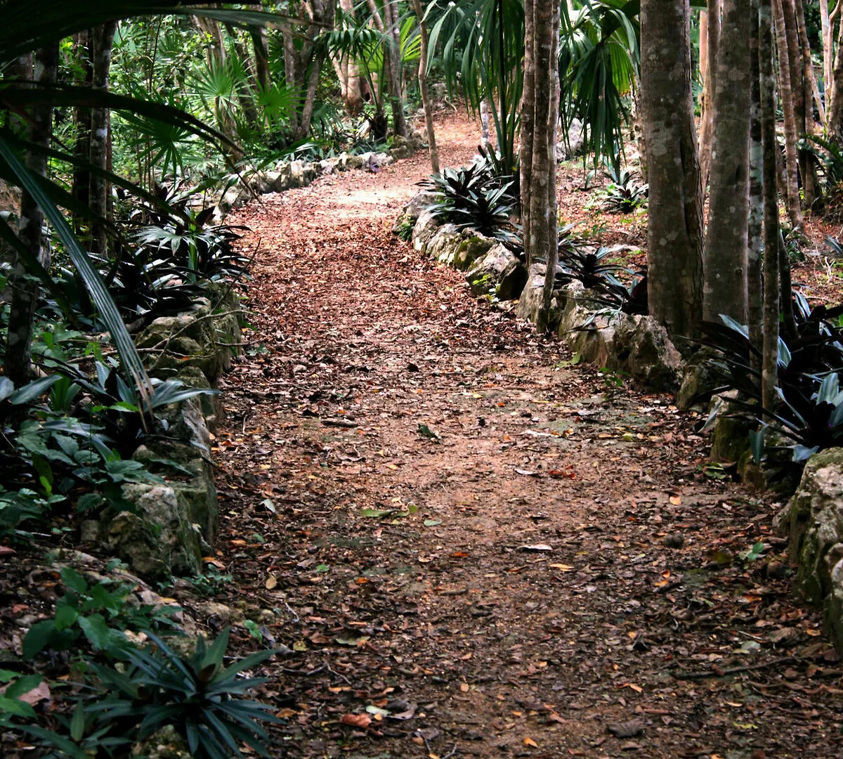 Kambulum Nature Eco-Villas Tulum