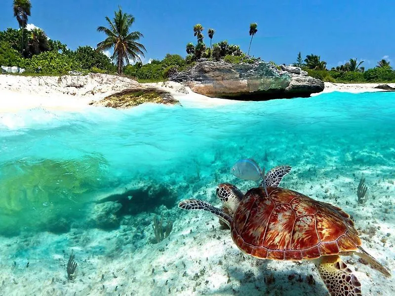 Kambulum Nature Eco-Villas Tulum 2*,  Mexico