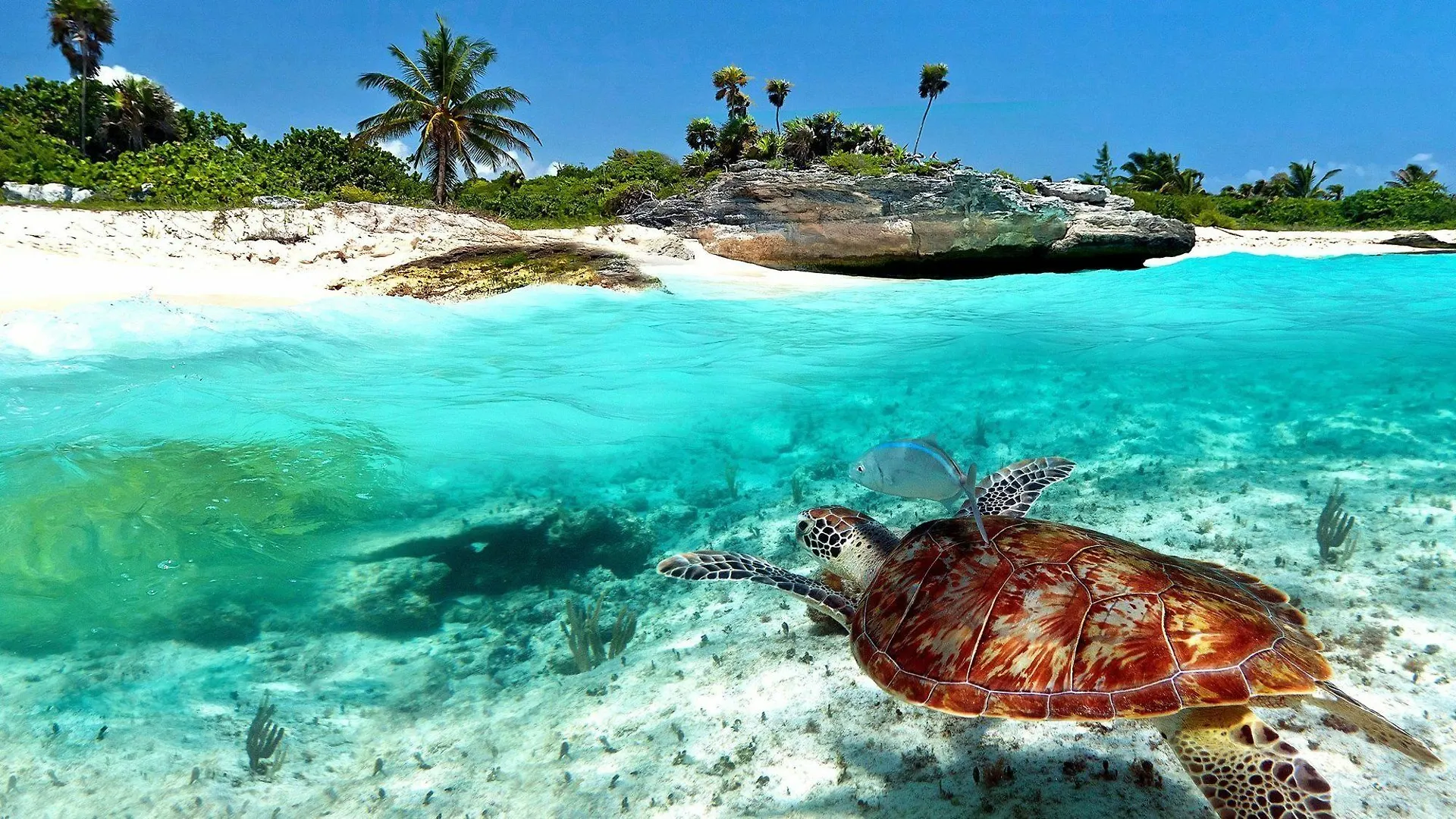 Kambulum Nature Eco-Villas Tulum
