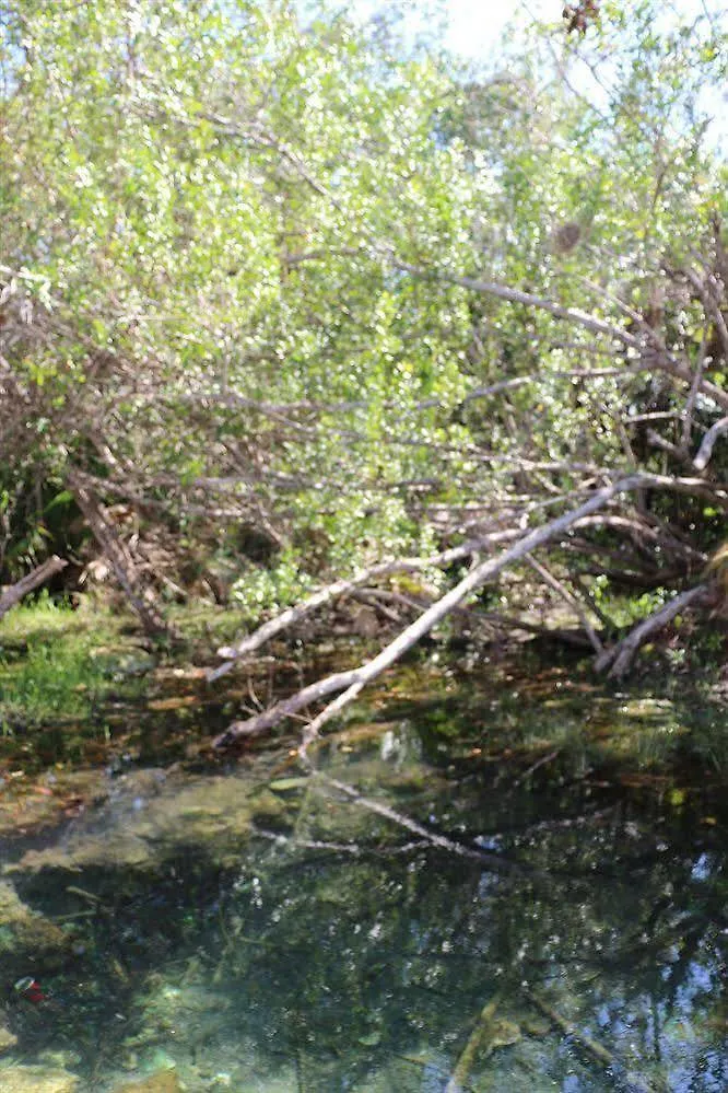 טולום Kambulum Nature Eco-Villas